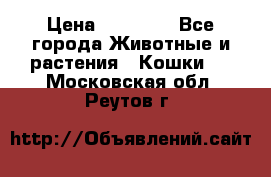 Zolton › Цена ­ 30 000 - Все города Животные и растения » Кошки   . Московская обл.,Реутов г.